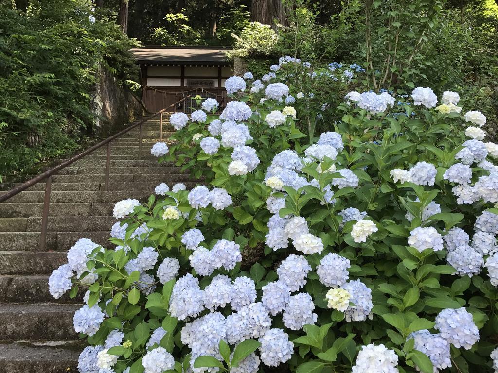 ホテル 高山ニンジャハウス エクステリア 写真