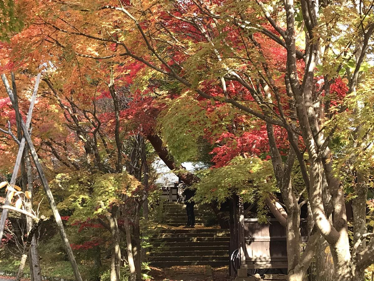 ホテル 高山ニンジャハウス エクステリア 写真
